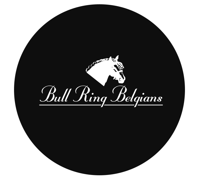 Bull Ring Belgians